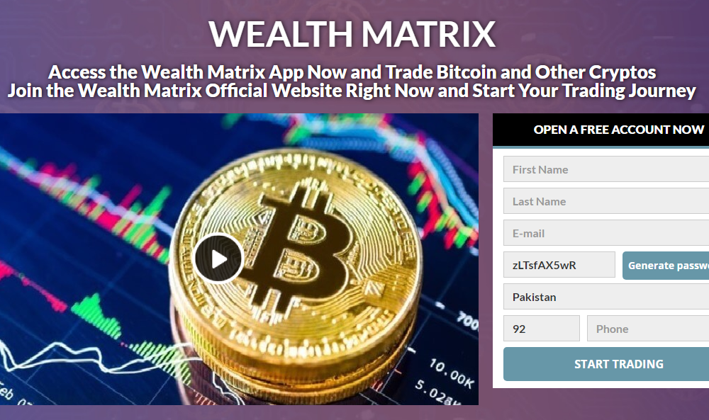 wealth matrix