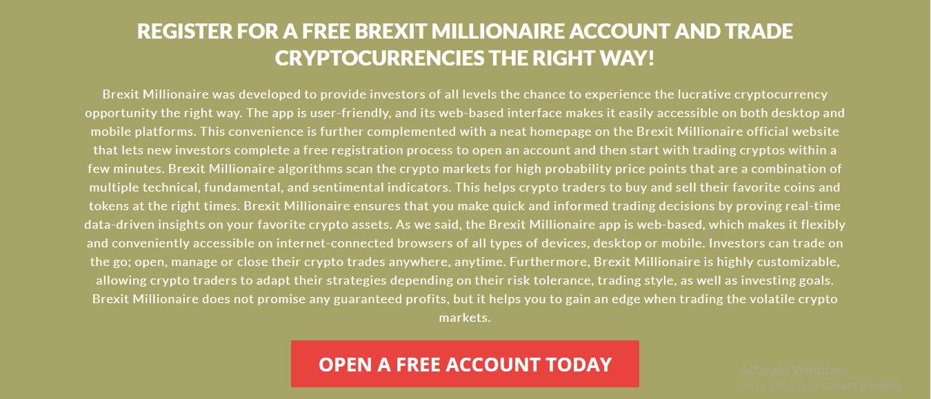 Brexit Millionaire 