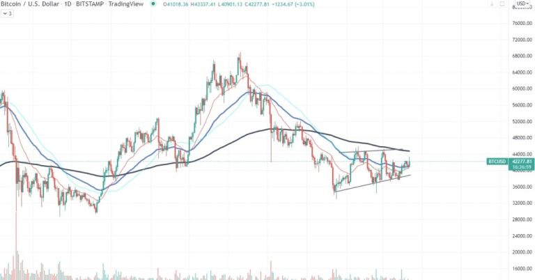 An anonymous whale closes a huge Bitcoin short position