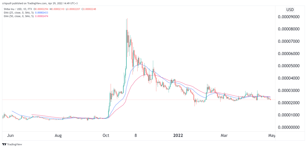 Is Shiba Inu a good investment?  5 reasons why we think it's