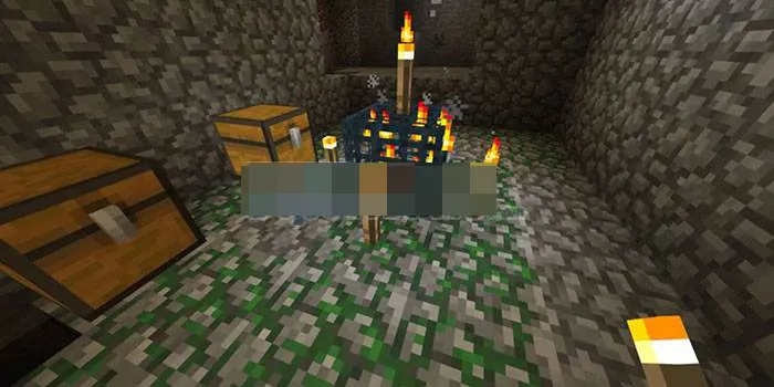 The torch