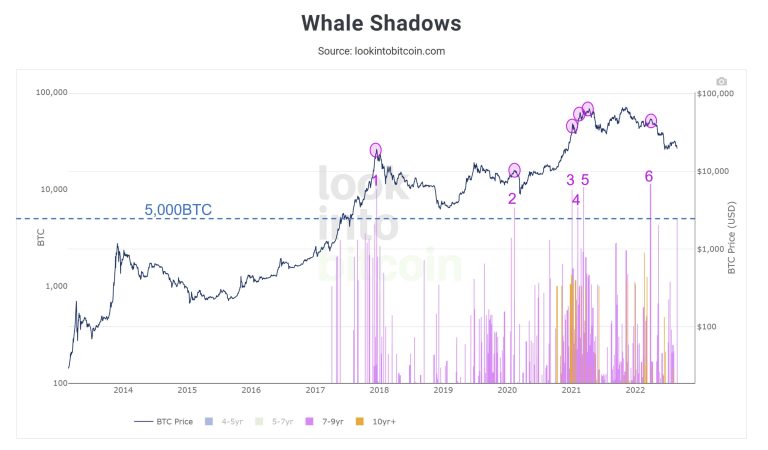 Bitcoin whale makes an unusual move and scares the market