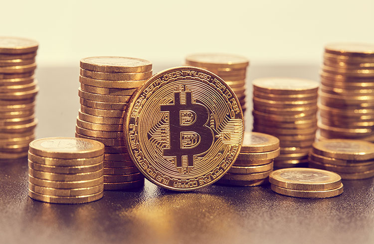 Famous economist made Cathie Wood profit BRL 40 million with Bitcoin;  understand