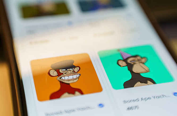 Bored Ape collection price suffers sharp drop and reaches 80% correction in the year