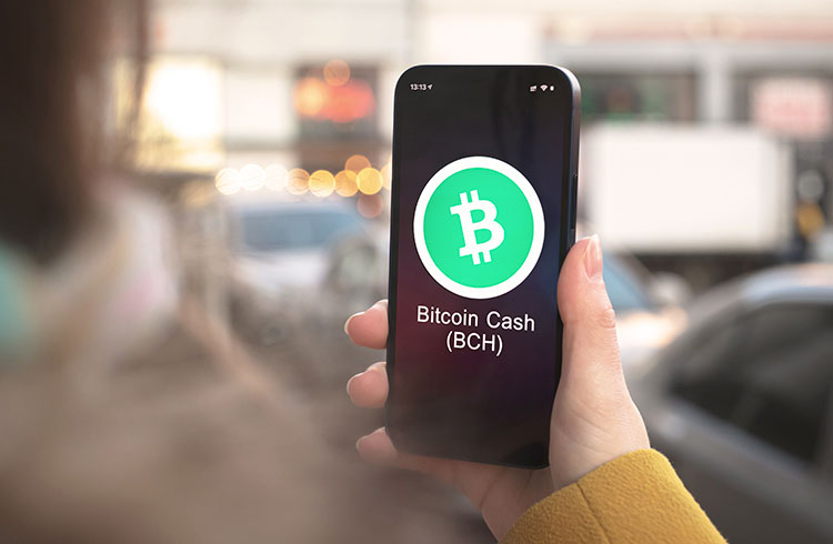 Saint Kitts and Nevis may adopt Bitcoin Cash as official currency