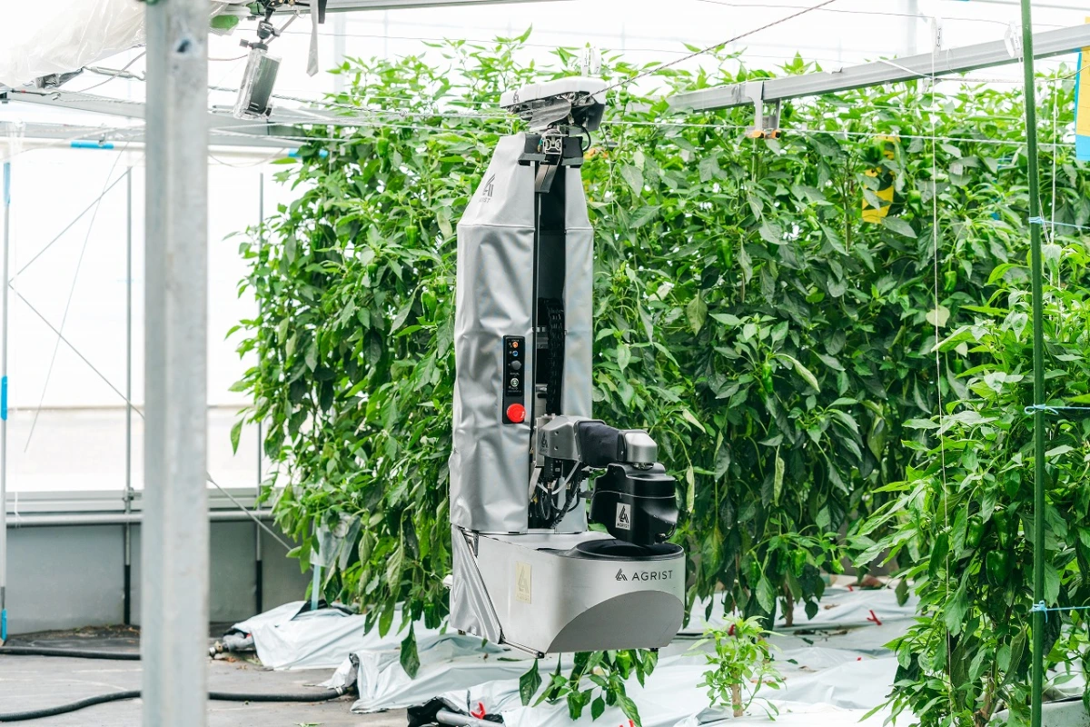 The robot that picks peppers is one of the AI-powered products presented at CES 2023