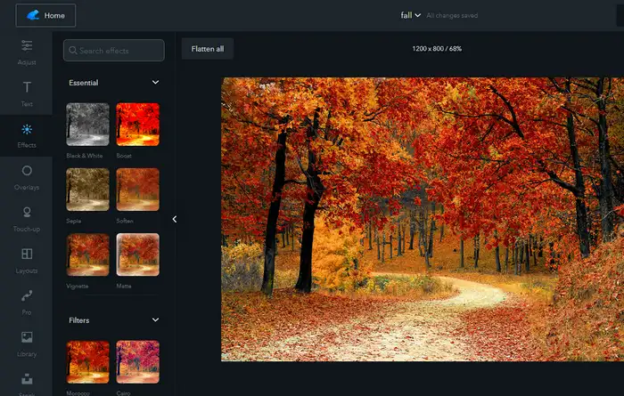 Edit photos online with Ribbet